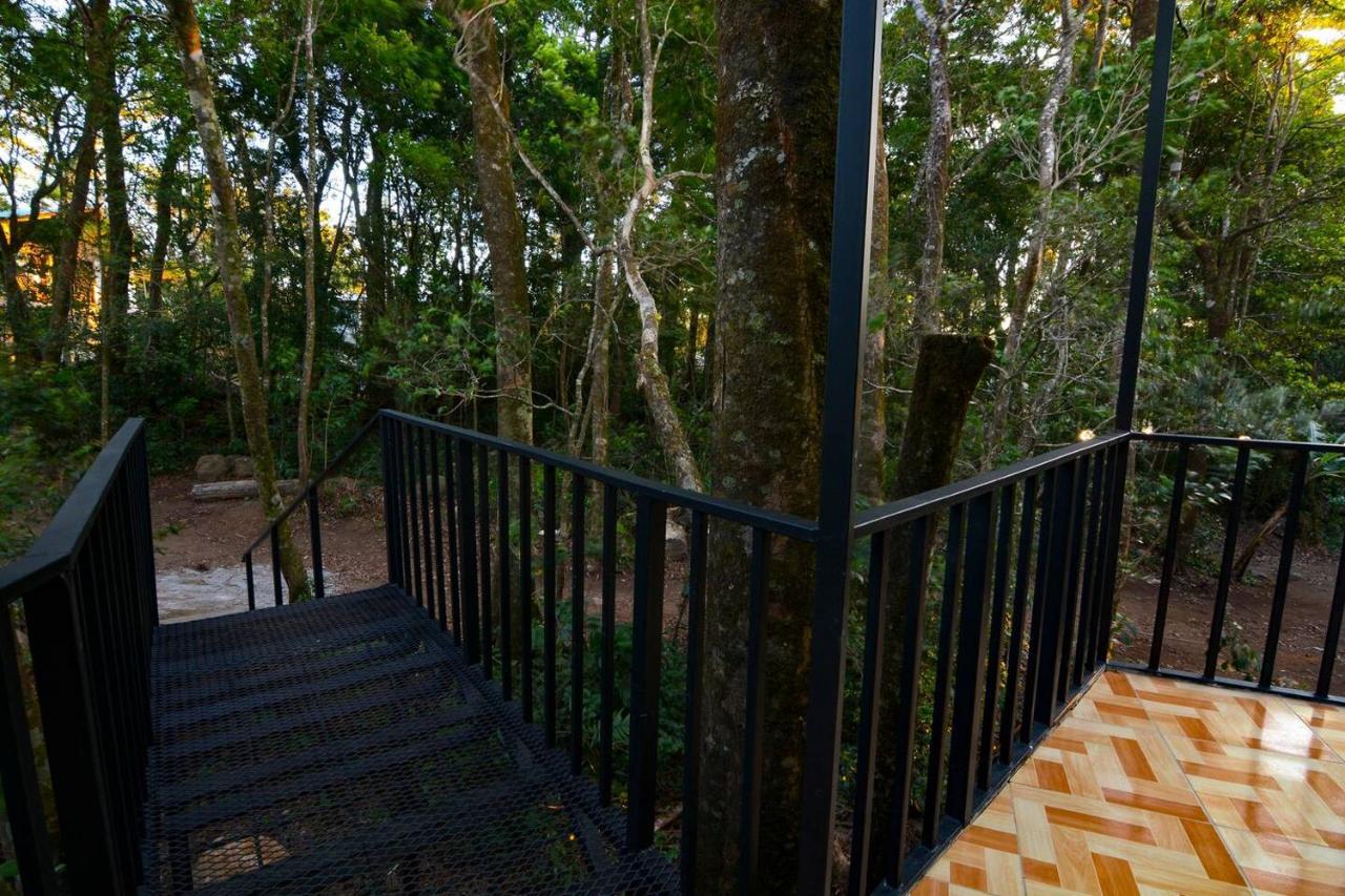 Cabanas Roca Verde Monteverde Eksteriør billede
