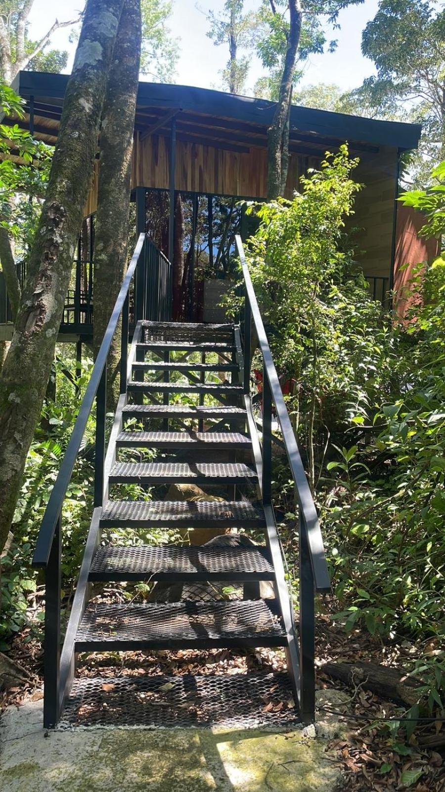 Cabanas Roca Verde Monteverde Eksteriør billede