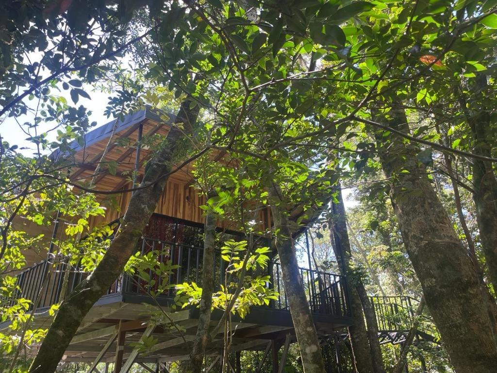 Cabanas Roca Verde Monteverde Eksteriør billede