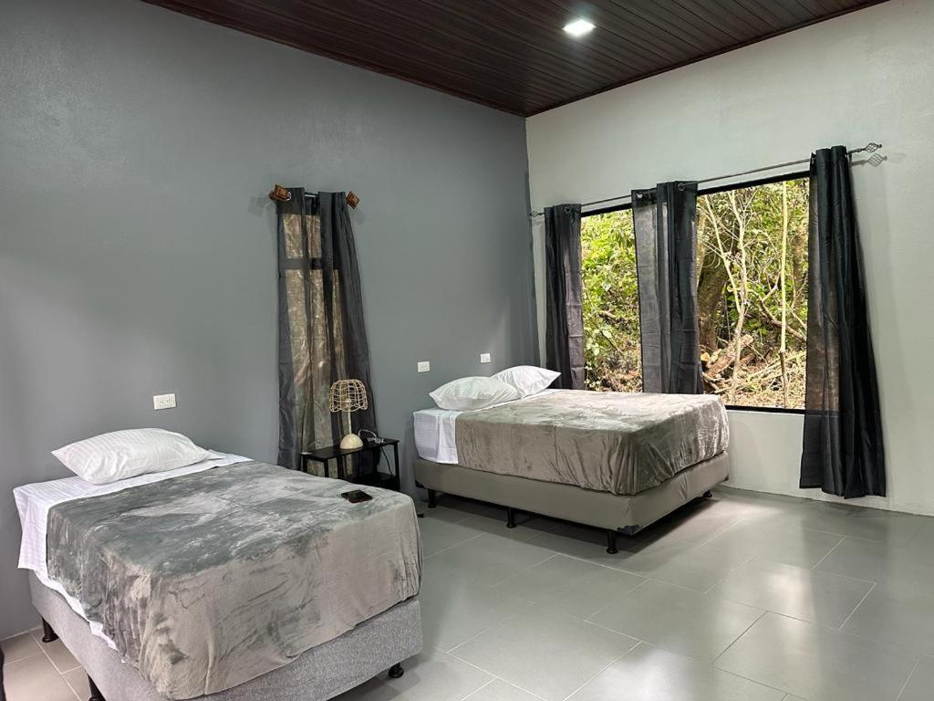 Cabanas Roca Verde Monteverde Eksteriør billede