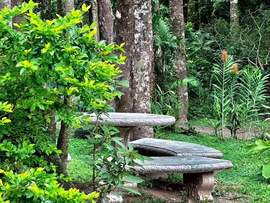 Cabanas Roca Verde Monteverde Eksteriør billede