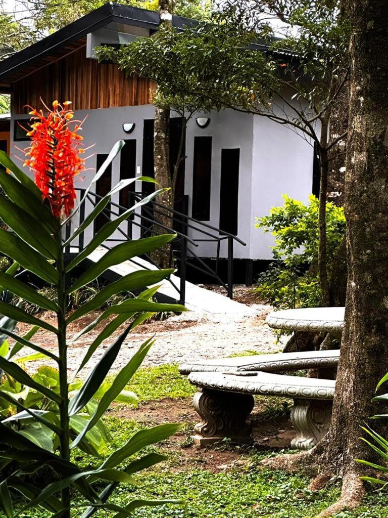 Cabanas Roca Verde Monteverde Eksteriør billede