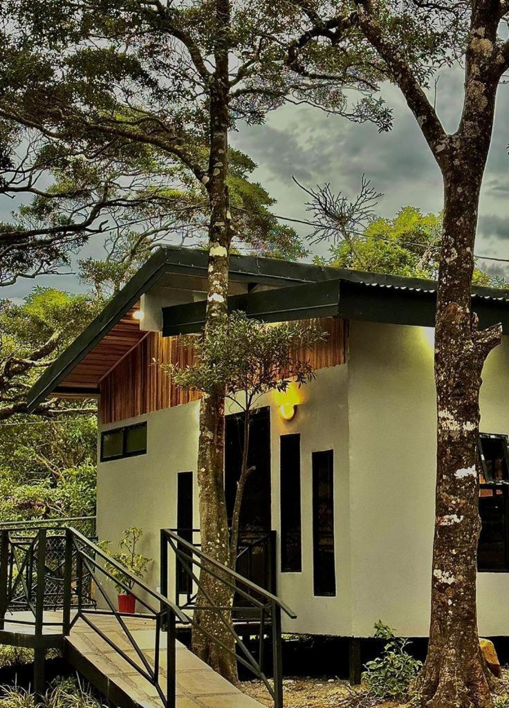 Cabanas Roca Verde Monteverde Eksteriør billede
