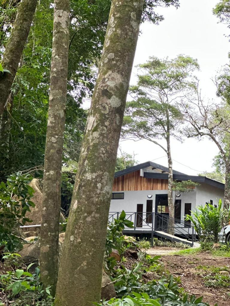 Cabanas Roca Verde Monteverde Eksteriør billede